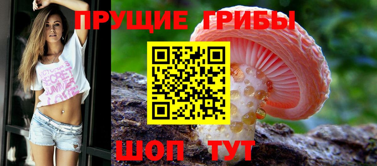 Псилоцибиновые грибы ЛСД  Вход с VPN  Искитим 