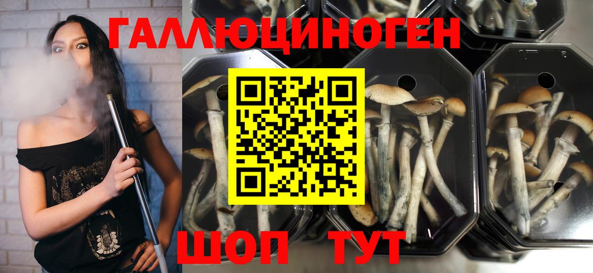 Галлюциногенные грибы GOLDEN TEACHER Искитим